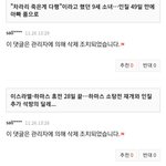 네이트 <b>선동</b>, 조작 (관리자 댓글 삭제)