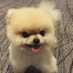 내가 다닌 <b>재종</b>엔 존잘존예 많아서 좋았음