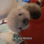 [드루와] 전 <b>썸남</b> 잊으려고 새로운 사람 만나는 거