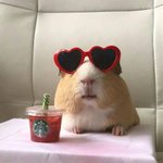 <b>무용</b>과나 발레해본애들잇냐