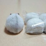 [드루와] <b>노숙</b>하는거 위험해?