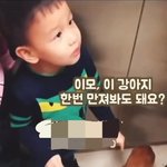 <b>이모</b> 이 강아지 한번 만져봐도 돼요?