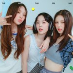 <b>올해</b> 시그 예쁘다고 생각한거 뉴진스랑 로제