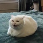 와 나 <b>미연</b> 마마 고음 이제봤네 미친거아니야??