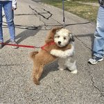 어제 엄마한테 40 달라는거 에<b>바냐</b>던 중2인데