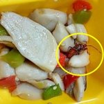 <b>반찬</b>서 더듬이가 ‘쑥’ 고등학교서 또 ‘벌레 급식’