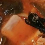 이번엔 마라탕서 <b>박쥐</b> 날개가?…中서 또 식품위생 논란