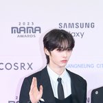 <b>태산</b> 레카 다 잘 나왔네