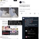 <b>캐럿</b>이랑 제로즈가 플리 패는 이유 정리