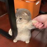 <b>맏이</b> 서러운 거 이것도 있지 않냐