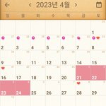 임신<b>날짜</b>관련