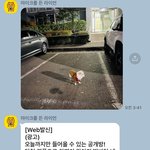 내 동생 요즘 하두 <b>주식</b>광고 문자받더니;