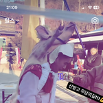 [드루와] 이런거보면 <b>동물</b> 개불쌍해