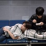 [<b>TXT</b>] 태현이 진짜 고양이