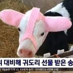 이것 좀 <b>보</b><b>셈</b>