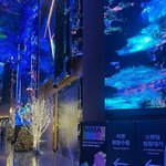 [모두드루와] 오늘 <b>MMA</b> 열리는 인스파이어 아레나 내부