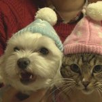 [TXT] <b>사</b><b>첵</b> ㅅㅍ)우뿌즈