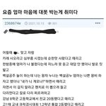 엄마 가슴에 <b>대못</b>박는 게 취미인 아들