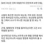 이재용은 <b>캐시</b>워크 같은거 안하겠지..