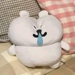 버블은 정말