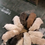 [댓글부탁해] <b>병</b>크 많은 <b>아이돌</b> 간잽하다 포기했거든?