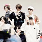 [보넥도] 평도어 <b>입력</b>