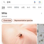 [댓글부탁해] 비밀하나씩말해보자