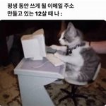 대부분 사람들의 메일 <b>주소</b>가 유치한 이유