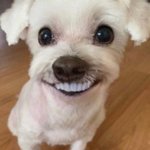 아직도 인스타 차단 <b>오류</b> 잇음??