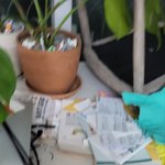 청소업체 미소에 청소를 맡겼는데 청소는 하나도 안되어있고 청소기만...