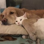 [댓글부탁해] <b>헬스</b>장 다녀본 사람 ㅈㅂㅈㅂ