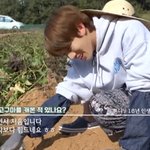 고구마 천개 넘게 캐고 돌아온 신인 남돌