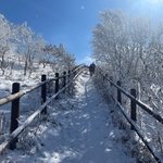 당근으로 여자인척 낚아서 고객 모집하는 등산앱
