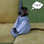[댓글부탁해] 절 다니는 <b>하은이</b>들아