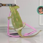 [댓글부탁해] 회식자리 매너랑 <b>예절</b> 물어본 사람인데요!!