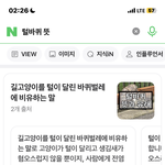 [댓글부탁해] 디시하는 한국 남자들 걸러야하는 이유