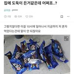 와 나 고등학교 <b>동창</b>