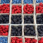 <b>베리</b>류는 다 좋더라 난