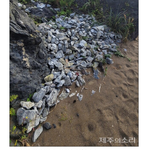 박은빈 '드라마 민폐 촬영 논란, 대중들이 모르는 속사정 있어'