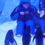 친구들이 자꾸 페이커 <b>안</b> 잘생겻다고 뭐라<b>함</b>