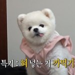 <b>시도</b>때도 없이 배가 아프면 뭐가 문제지