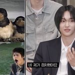 아..원빈 견제됨..