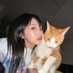 미노이 <b>허쉬</b>컷이야?