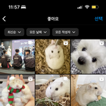 내 인스타 좋아요<b>목록</b> 볼 사람