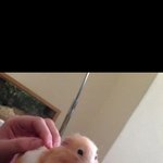 [댓글부탁해] <b>냠냠</b>