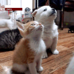 <b>파데</b> 바르면 원래 이러냐