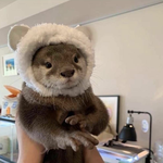 너네 아직도 수능 성적=3모라는 개소리를 <b>믿음</b>?