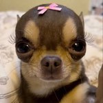 비문학 거의 다 찍어서 <b>개</b><b>쳐</b>망한줄