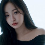 강아지보단 고양이, 온<b>보단</b> 냉