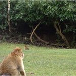 [댓글부탁해] 솔직히 <b>올드</b>머니룩 유행 못하는이유가